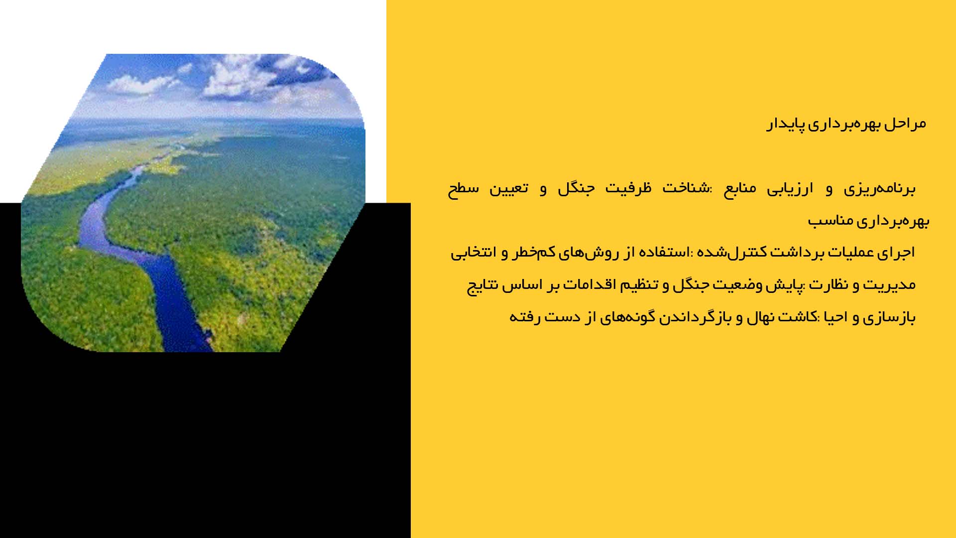 پاورپوینت در مورد بهره‌برداری پایدار از جنگل‌ها